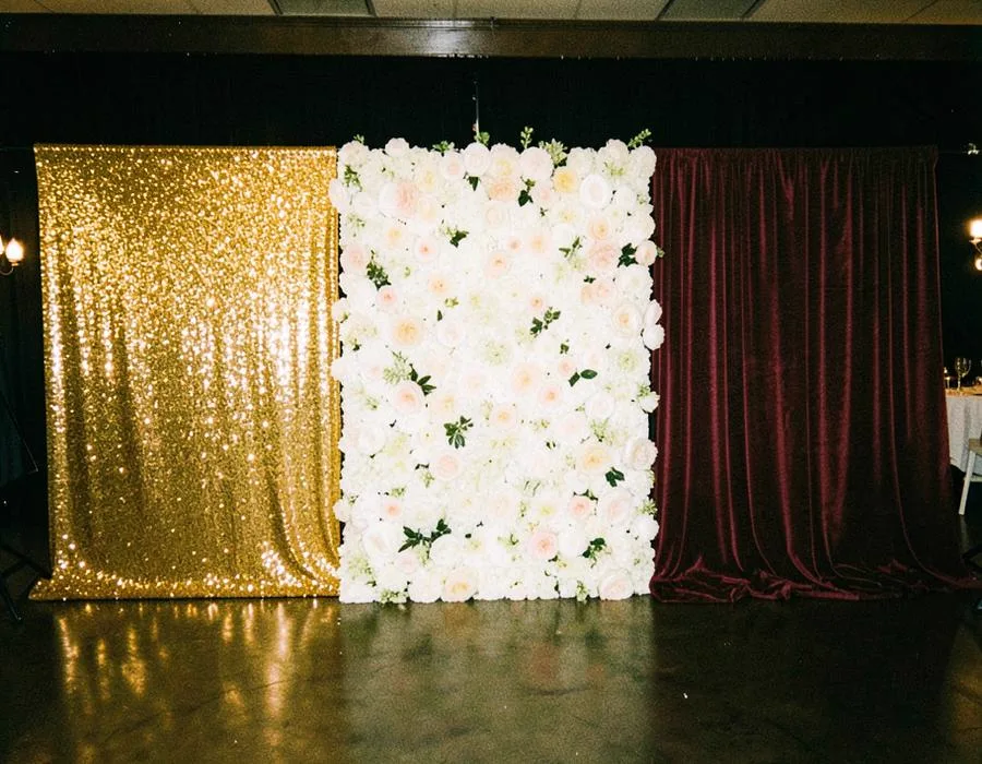 Backdrop of Your Choice photo booth upgrade